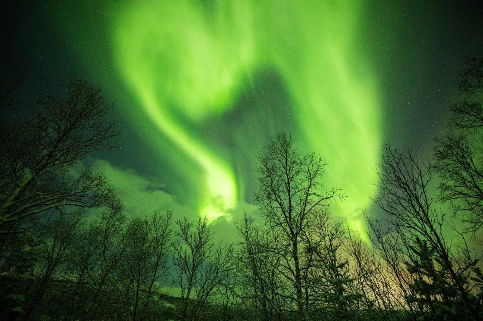 Kulpmo Gard Jarfjord-Kirkenes 빌라 외부 사진